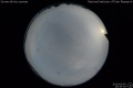 2020/5/5 15:30’20”