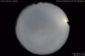 2020/5/5 15:40’22”