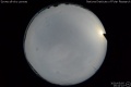 2020/5/5 15:42’22”