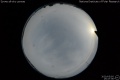 2020/5/5 15:47’36”