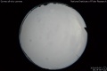2020/5/5 16:25’36”