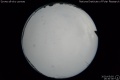 2020/5/5 16:30’36”