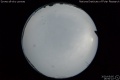 2020/5/5 16:50’22”