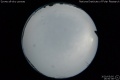 2020/5/5 16:50’38”