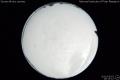 2020/5/5 19:15’12”
