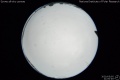 2020/5/5 21:00’46”