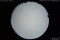 2020/5/5 22:30’48”