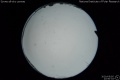 2020/5/5 22:50’34”