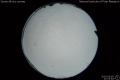 2020/5/5 22:55’48”
