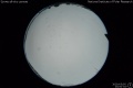 2020/5/5 23:00’34”