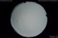 2020/5/5 23:28’20”