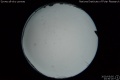 2020/5/5 23:30’20”
