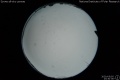 2020/5/5 23:30’36”