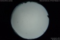 2020/5/5 23:45’20”
