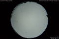 2020/5/5 23:45’36”