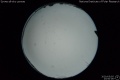 2020/5/5 23:50’06”