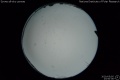 2020/5/5 23:50’36”