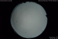 2020/5/6 00:30’36”