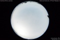 2020/5/8 03:00’56”