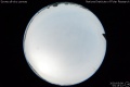2020/5/8 03:15’12”