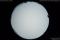 2020/5/8 17:50’10”