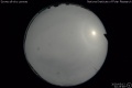 2020/5/12 22:25’48”