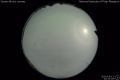 2020/5/12 22:32’18”