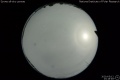 2020/5/12 23:18’48”