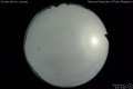 2020/5/12 23:21’48”