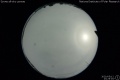 2020/5/12 23:25’04”