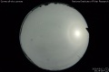 2020/5/12 23:25’18”
