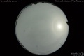 2020/5/12 23:30’04”