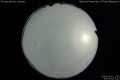 2020/5/12 23:32’04”