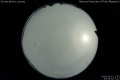 2020/5/12 23:33’04”