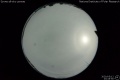 2020/5/12 23:45’50”