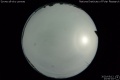 2020/5/12 23:50’04”