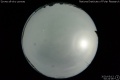 2020/5/13 00:24’06”