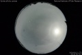 2020/5/13 00:40’36”