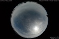 2020/5/13 03:00’22”