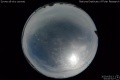 2020/5/13 03:00’52”