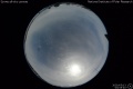2020/5/13 03:55’40”