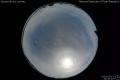 2020/5/13 04:00’10”