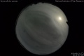 2020/5/13 22:45’36”