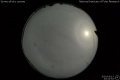 2020/5/13 23:42’54”