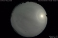 2020/5/13 23:45’38”