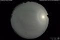 2020/5/13 23:50’08”