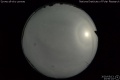 2020/5/13 23:50’24”