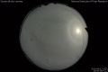 2020/5/13 23:50’38”