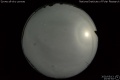 2020/5/13 23:50’54”