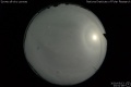 2020/5/13 23:51’08”